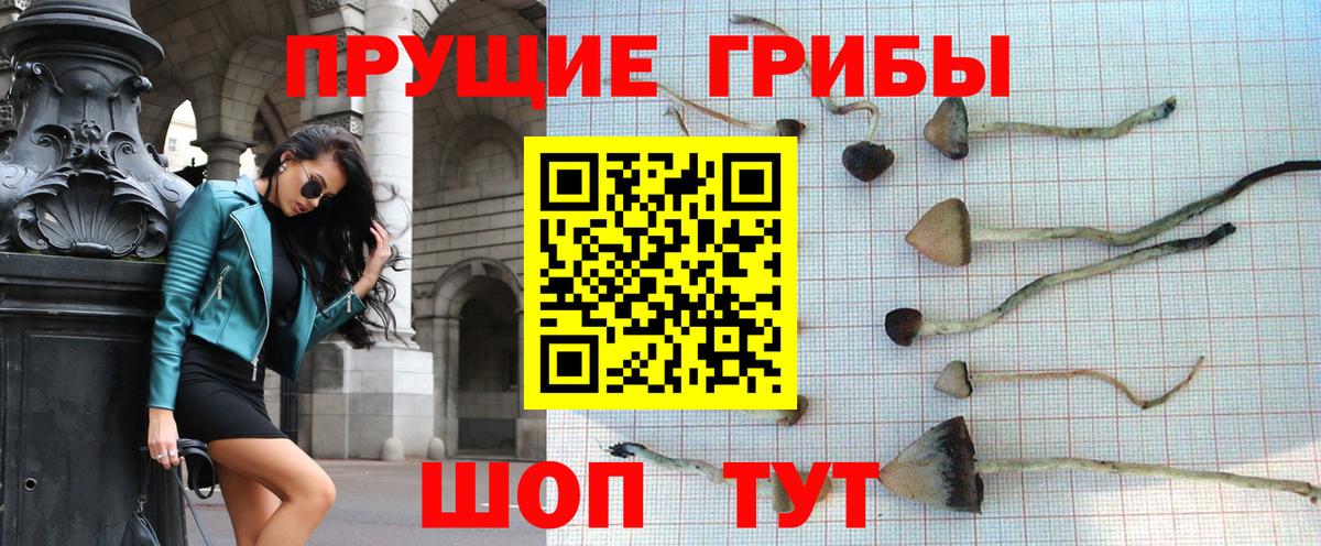 Псилоцибиновые грибы мицелий  Вход с VPN  Верхняя Салда 