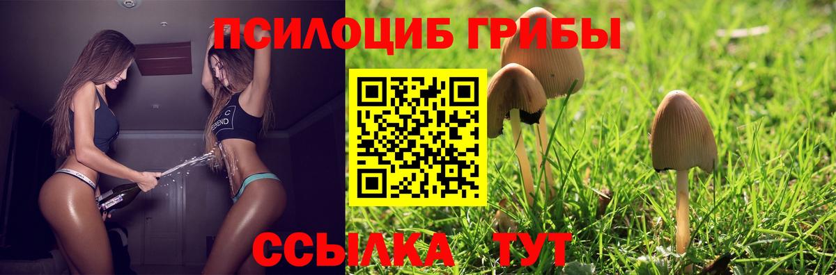 Галлюциногенные грибы GOLDEN TEACHER Верхняя Салда